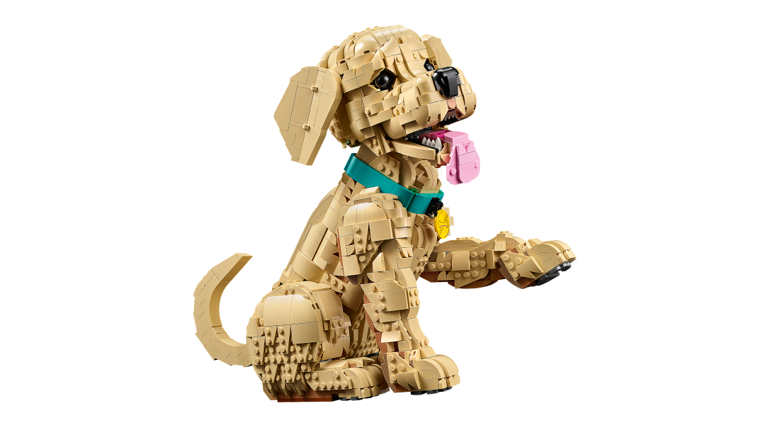 11384 | LEGO® ICONS™ Golden Retriever Puppy