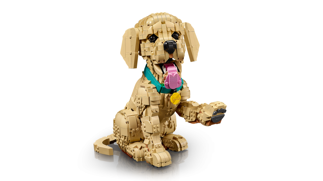 11384 | LEGO® ICONS™ Golden Retriever Puppy