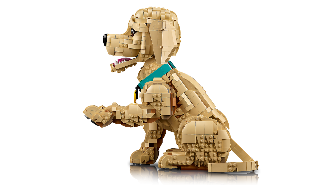 11384 | LEGO® ICONS™ Golden Retriever Puppy