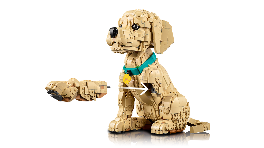 11384 | LEGO® ICONS™ Golden Retriever Puppy