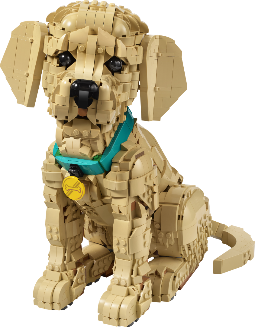11384 | LEGO® ICONS™ Golden Retriever Puppy